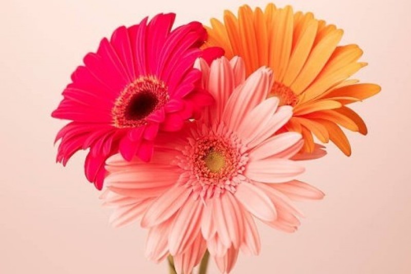 Happy Mother’s Day! Surprise Mom with a Special Mother’s Day Visit to the Sorano Hotel