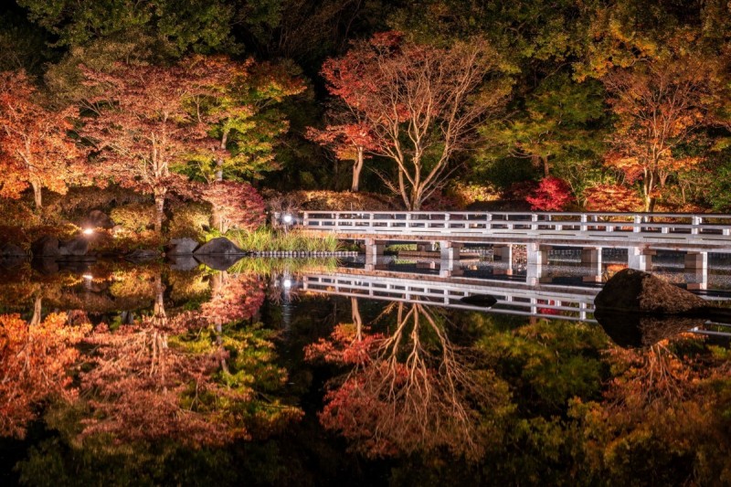 国営昭和記念公園 日本庭園ライトアップ