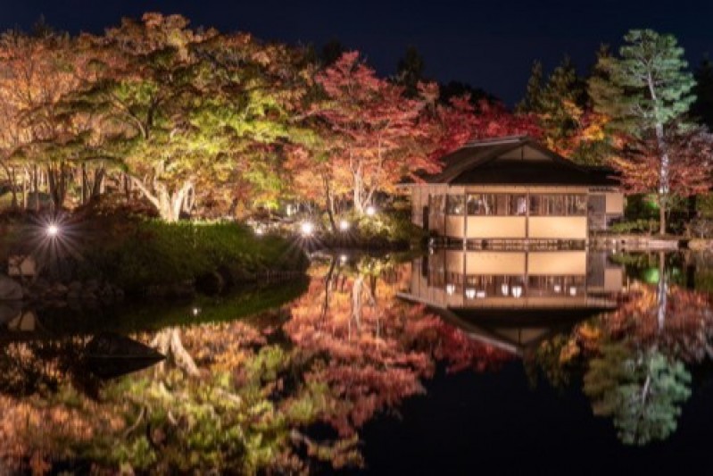 Autumn Night Walk 2022 Package 　Ticket included to see illuminated autumn leaves at Showa Kinen Park [available to the first 100 guests]